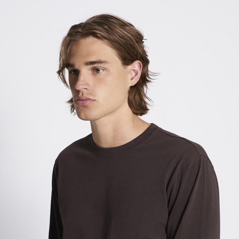 Long sleeve tee "Lion" Brown